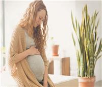 أثناء الحمل .. فوائد استخدام الزيوت العطرية 
