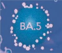 أعراض المتحور الفرعي الجديد BA5 .. طويلة الأمد