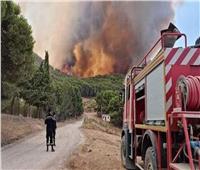 اندلاع حرائق مستعرة في غابات برج السدرية بتونس