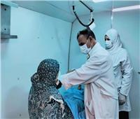 «صحة المنوفية»: الكشف الطبي على 1190 مواطنا بقرية كفر زين الدين بقويسنا