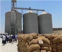 وزير التموين يكشف تفاصيل جديدة عن شحنة القمح الأوكراني لمصر