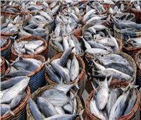 استقرار أسعار الأسماك في سوق العبور اليوم 23 يوليو