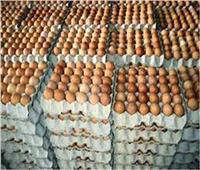 وزير الزراعة: ضخ بيض أبيض بسعر 62 جنيها بداية من الأحد| فيديو