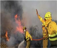 اندلاع حريق هائل في تونس يدمر 200 كيلومتر من الغابات