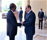 السيسي: بحثت مع الرئيس الصومالي ملف سد النهضة.. وأكدنا خطورة الخطوات الأحادية