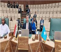 العراق تستعرض تجربتها لمكافحة كورونا بالمؤتمر الإقليمي العربى 