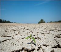 الجفاف والتصحر يهددان أوروبا بسبب ارتفاع درجات الحرارة