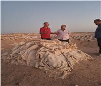 آثار جنوب سيناء تتفقد «رأس راية» وتحدد موقع رايثو «الطور القديمة» 