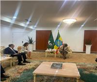 وزير الخارجية الروسي يلتقي رئيسة إثيوبيا في أديس أبابا