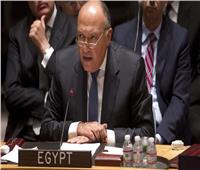 مصر تسجل اعتراضها لدى مجلس الأمن على استمرار إثيوبيا في ملء سد النهضة