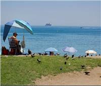 «الموت في أغسطس» .. موجة حر غير معتادة في مياه البحر المتوسط