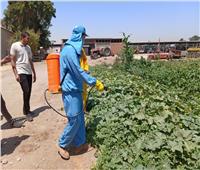 «الزراعة»: برنامج تدريبي عن الاستخدام الآمن للمبيدات بسوهاج  