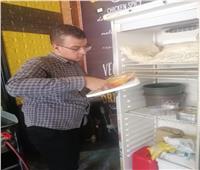 «صحة الدقهلية»: ضبط طن أغذية فاسدة وتحرير 125 محضرًا للمخالفين