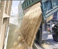 تراجع أسعار القمح عالميا.. والإفراج عن 25 مليون طن بأوكرانيا قريبا