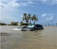 الأردن يقدم التعازي للإمارات في وفيات السيول