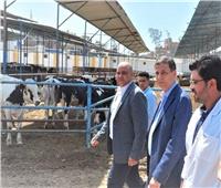 13 مليار جنيه من البنك الزراعي المصري لتمويل مشروعات الثروة الحيوانية