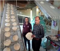 ضبط 47 مخبز بلدي مخالف خلال حملات تموينية بالبحيرة