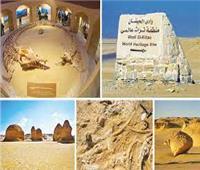 «وادي الحيتان» ضمن 7 مواقع مصرية في التراث العالمي