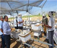محافظ الوادي الجديد يتفقد مشروع إنتاج العسل الطبيعي بالخارجة