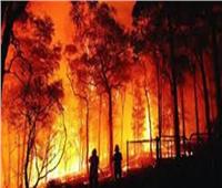 سجلت 12 ألفا.. زيادة معدل الحرائق في غابات الأمازون| فيديو 