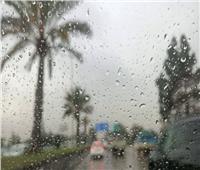 الري: أمطار محتملة على مدار يومين في هذه المناطق | صور