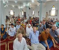 افتتاح مسجد صيدناوي الكبرى بتكلفة 800 ألف جنيه بمركز كفر الدوار