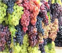استقرار أسعار الفاكهة في سوق العبور اليوم 7 أغسطس 