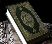 علي جمعة: لا يوجد في العالم طفل يحفظ كتابا بغير لغته مثل القرآن الكريم