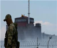 رئيس البرنامج النووي الأوكراني يدعو إلى منطقة خالية من السلاح حول مفاعل زابوريجيا