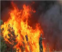 ألمانيا تدفع بمئات من رجال الطوارئ للسيطرة على حريق غابات امتد إليها من التشيك