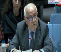 مندوب فلسطين في الأمم المتحدة: نشكر مصر ونقدر جهودها في وقف العدوان الإسرائيلي 