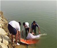 انتشال جثة شخص مجهول الهوية من نهر النيل بالجيزة 