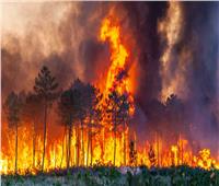 الداخلية الفرنسية: المحققون يشتبهون بأن حريق الغابات جنوب غرب فرنسا مفتعل