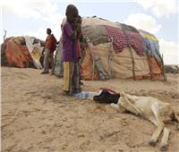 نزوح مليون شخص من الصومال بسبب الجفاف 