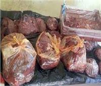 ضبط 6 أطنان من اللحوم الفاسدة خلال حملات موسعة بالجيزة