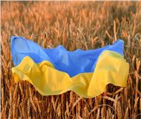 التايمز: أزمة مزارعي القمح في أوكرانيا تنذر بمجاعة عالمية