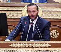 النائب محمد حلاوة: الدماء الجديدة ستساهم فى تنفيذ رؤية الرئيس للنهضة الشاملة