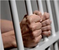 جنايات الإسكندرية تقضي بالسجن 15 عاما على عاطلين لاتجارهما بالحشيش