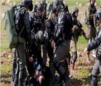 قوات الاحتلال الإسرائيلي تعتقل 24 فلسطينيًا من الضفة الغربية