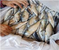 ضبط 25 طن أسماك و سردين وكمية من اللحوم صالحين للإستهلاك الآدمى بالبحيرة 