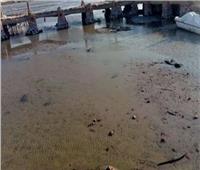 «الري» تكشف أسباب جفاف بحيرة فطناس بـ«واحة سيوة»