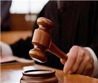 تأجيل محاكمة ربة منزل متهمة بالجمع بين زوجين لـ24 أغسطس