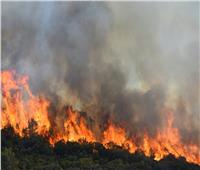 ارتفاع حصيلة ضحايا حرائق الغابات في الجزائر إلى 37 شخصًا