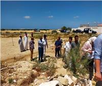 حملة مكبرة لإزالة التعديات على أراضي الآثار ومديرية الزراعة بالإسكندرية 