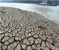 الجفاف يؤدي إلى تقليص أكبر بحيرة للمياه العذبة في الصين