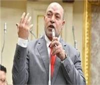 «تضامن النواب»: وزارة الأوقاف تعددت أدوارها في عهد الرئيس السيسي