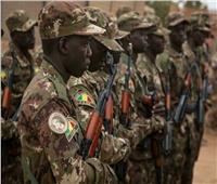 الجيش المالي: تحييد 90 إرهابيًا ومصادرة كميات كبيرة من الأسلحة