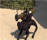 روسيا تكشف عن «كلب آلي مسلح»| فيديو