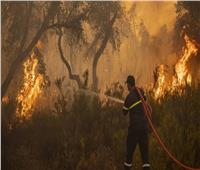 ارتفاع حصيلة ضحايا الحرائق في الجزائر لـ 43 قتيلًا