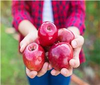 خبيرة روسية تكشف خطورة الإفراط في تناول التفاح على صحة الجسم 